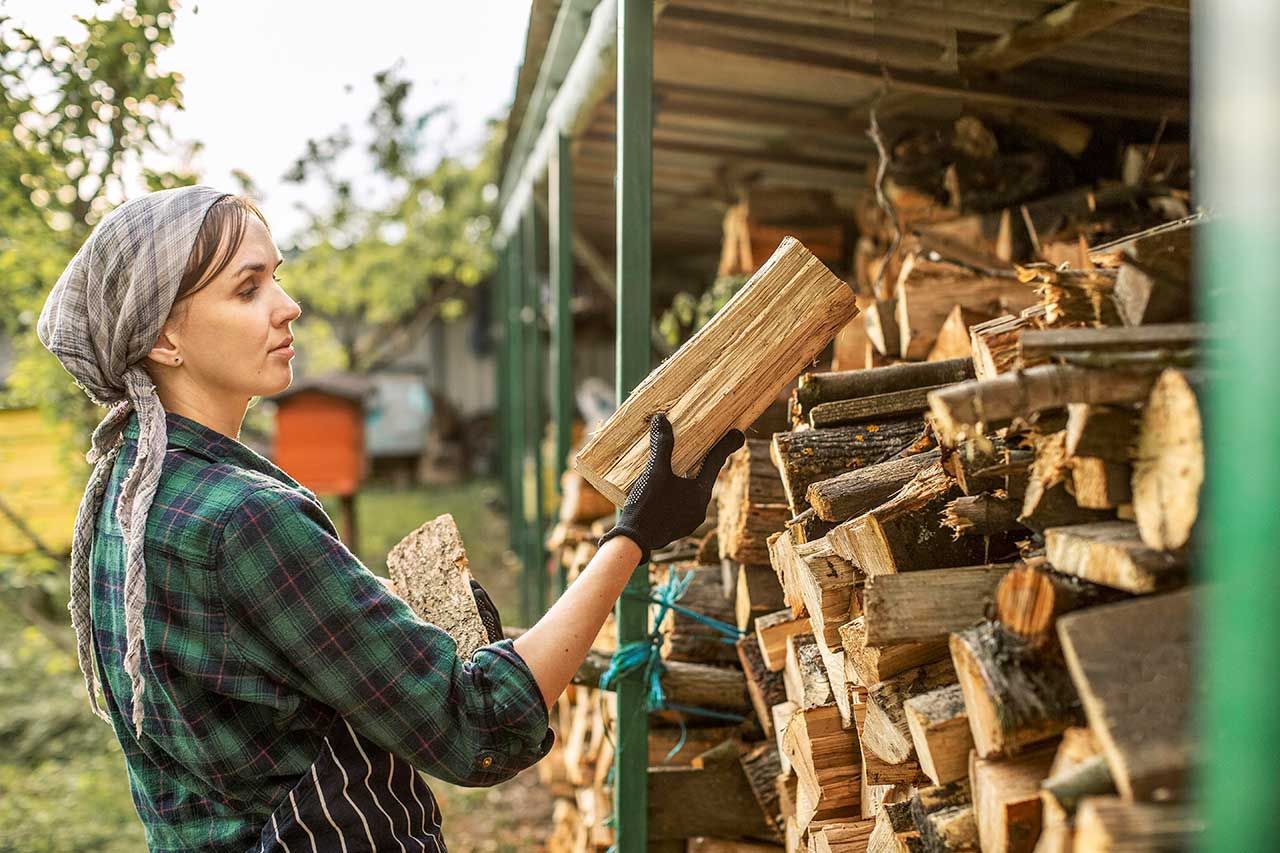 Une dame range son bois de chauffage sous son abri