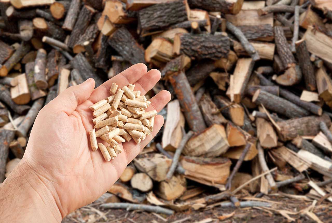 Les granulés de bois sont une énergie biomasse