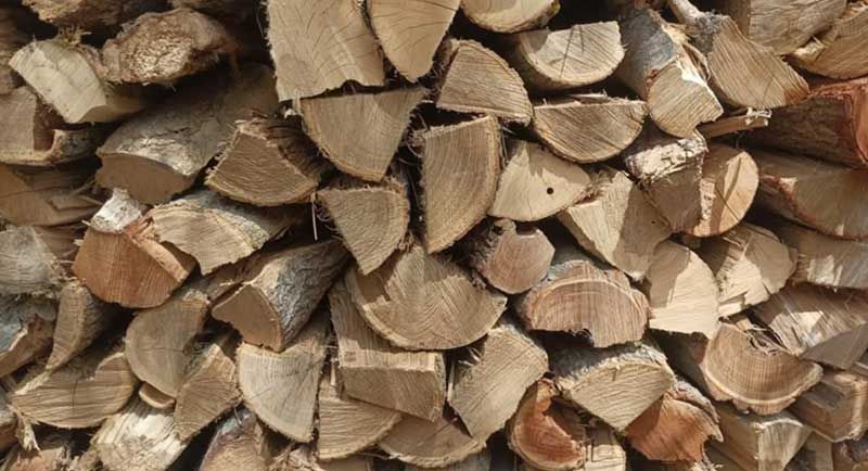 Bûches de chêne de bois de chauffage