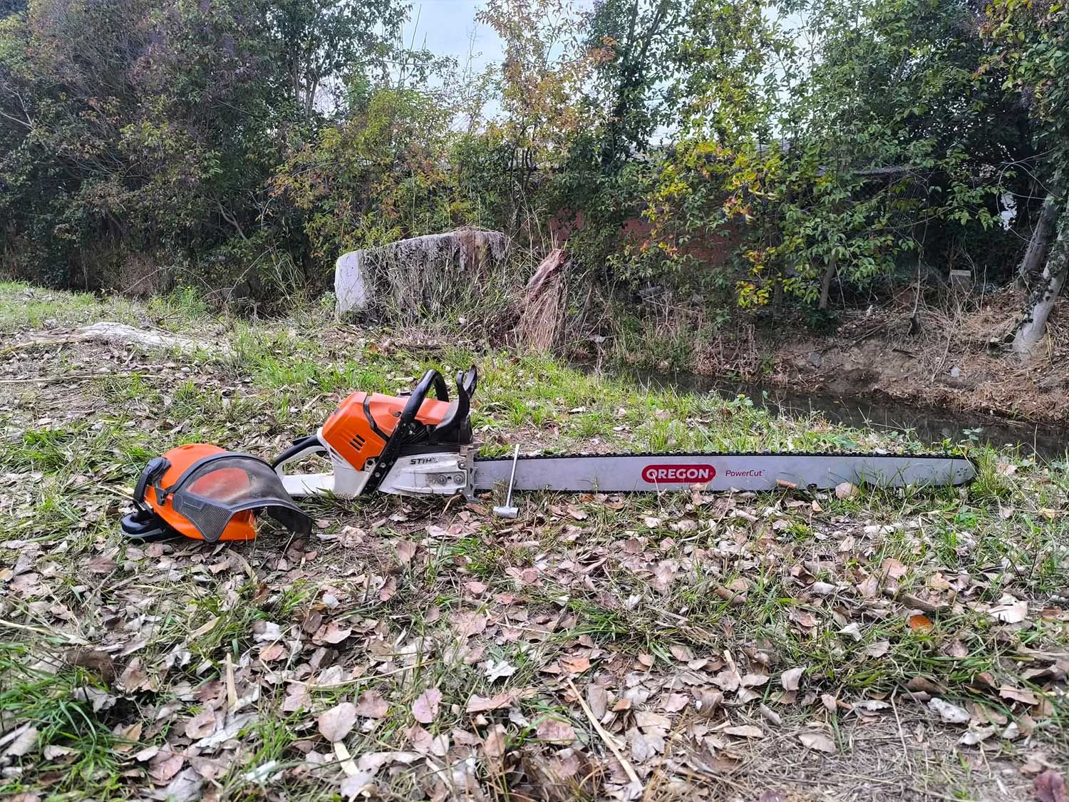 Prestations de bucheronnage dans l'Aude et l'Hérault