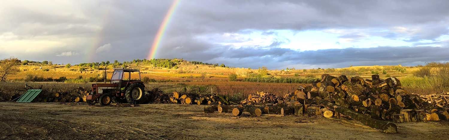 Le dépôt de bois de chauffage de la Vallée du bois à Capestang