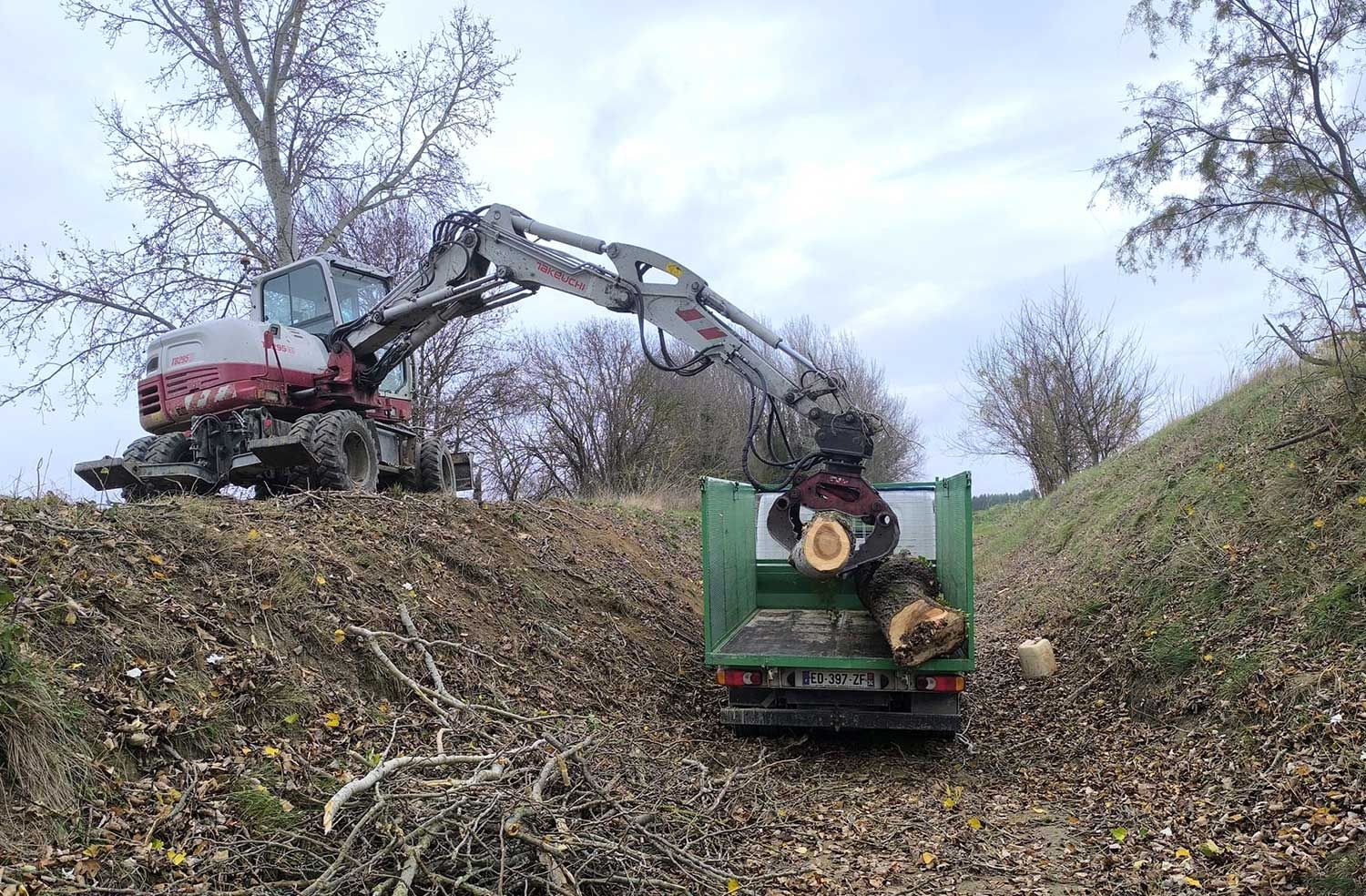 Débardage de platanes au bord du canal du Midi