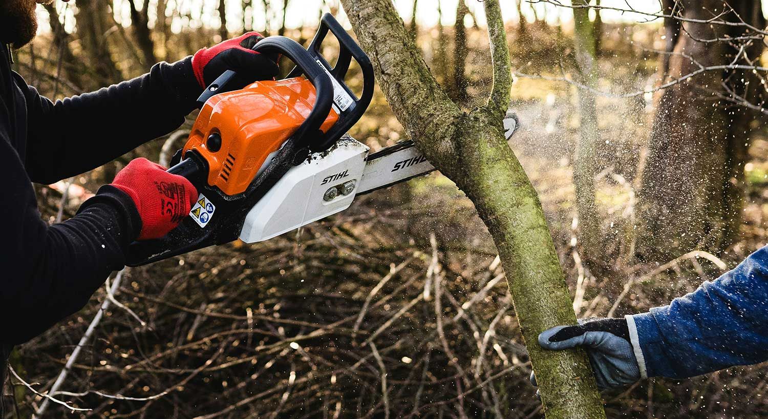 Débroussaillage d'un terrain à la tronçonneuse